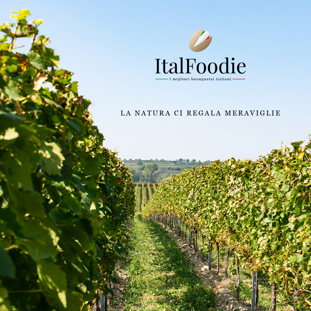 Immagine emotional ItalFoodie